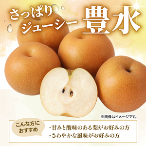 【2026年8月中旬頃から発送】 梨 5kg 豊水 梨 IDG