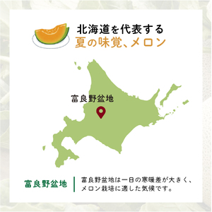 【2026年8月発送】JAふらの 赤肉メロン 2玉 計4kg 富良野市 メロン フルーツ 果物 