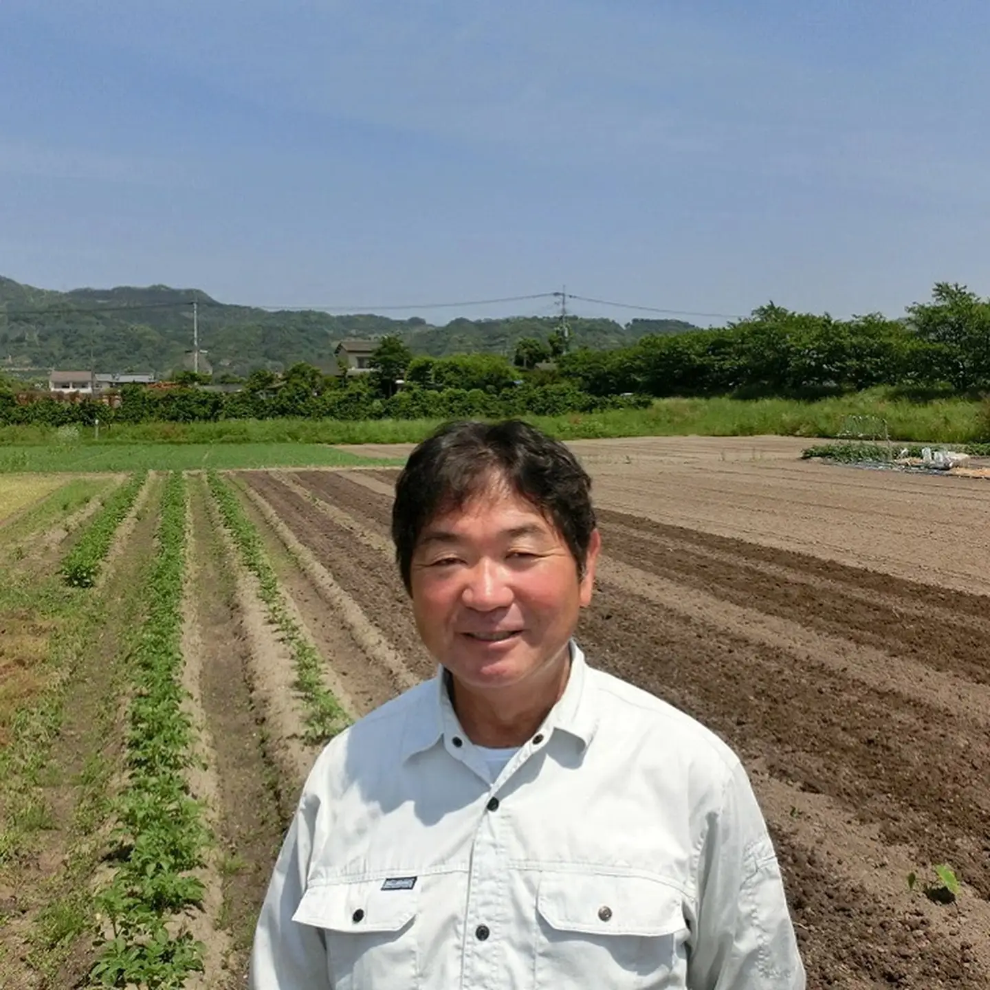 もちもちとした美味しいコシヒカリ 白米 5kg【農薬・化学肥料不使用栽培米】：B230-022