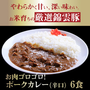 【ブランド豚肉】お米育ちの錦雲豚　お肉ゴロゴロ！ポークカレー（辛口）6食_FN1102