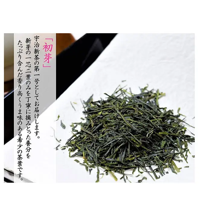 京都茶匠きよ泉の宇治新茶3袋セット〈お茶 茶 新茶 緑茶 煎茶 セット 茶葉 飲料〉