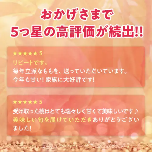透過式光センサーあかつき桃 特秀5kg相当 15玉～18玉＜ ふくしま未来農業協同組合 ＞ | ふくしま 桃 福島 もも 国見 モモ ※2026年7月中旬～8月上旬頃に順次発送予定 ※沖縄・離島への配送不可