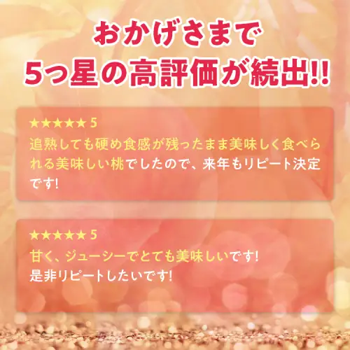透過式光センサーまどか桃 特秀5kg相当 15玉～18玉＜ ふくしま未来農業協同組合 ＞ | ふくしま 桃 福島 もも 国見 モモ ※2026年8月上旬～8月中旬頃に順次発送予定 ※沖縄・離島への配送不可