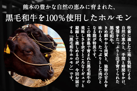 黒毛和牛ホルモン800g(200g×4袋) ブランド牛 有限会社トップルーフ《60日以内に出荷予定(土日祝除く)》