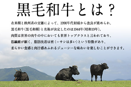 黒毛和牛漬け込みホルモン・ハンバーグセット（計14袋） 絶品 ブランド牛 黒毛和種 有限会社トップルーフ《60日以内に出荷予定(土日祝除く)》