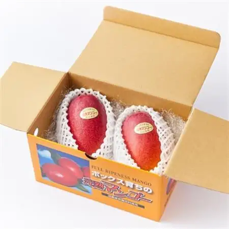 大阪茨木 小川農園の《贈答用》完熟マンゴー約700g〈2個入〉【R8年7月中旬発送開始】_果物・フルーツ マンゴー  _【配送不可地域：離島】【1231455】