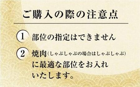 飛騨ジビエ 猪肉 しゃぶしゃぶ 300g | ジビエ 株式会社かりびと HN006