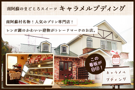 プリン 南阿蘇のプリン専門店 キャラメルプディング 人気プリン3種×3個セット 計9個お届け《60日以内に出荷予定(土日祝除く)》プリン 南阿蘇こだわりプリン 大人プリン クリーミープリン 手作り 阿蘇小国ジャージー牛乳 お菓子 スイーツ お土産
