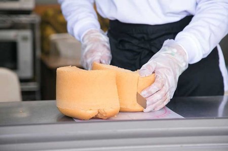 シフォンケーキ詰め合わせ　10個セット ※北海道・沖縄・離島への配送不可 _CN02