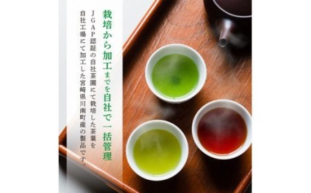「六車農園」お茶Ｓセット 【 お茶 ３種 深蒸し 煎茶 ほうじ茶 お湯出し 水出し九州産お茶 宮崎県産お茶 川南町産お茶 ティーバックお茶 】