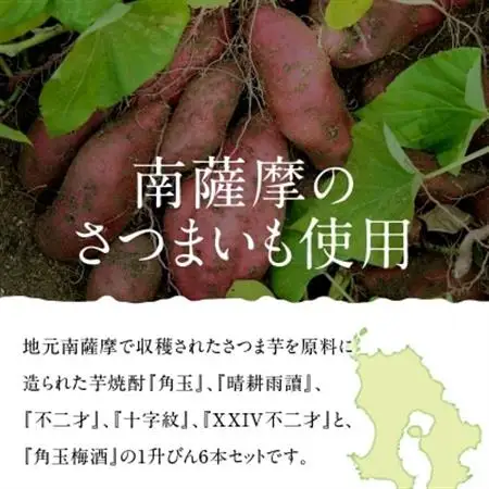 【佐多宗二商店】芋焼酎・梅酒まるごと1升びん 6本セット【1185963】