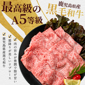 A5等級鹿児島県産黒毛和牛霜降りリブローススライス400g カミチク IB112-011 牛肉 牛肉