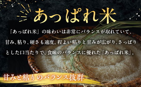 【令和8年産・早期予約受付】北海道産 津別町あっぱれ米（玄米）10kg | 米 お米 新米 玄米 国産米 農家直送 産地直送 北海道 津別町 送料無料