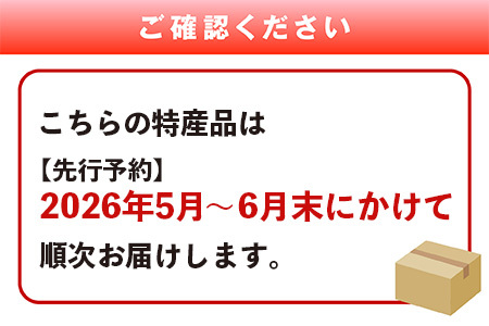 【2026年5月～順次発送】小玉スイカ ひとりじめ (2玉/計5-6kg) すいか 008-0663