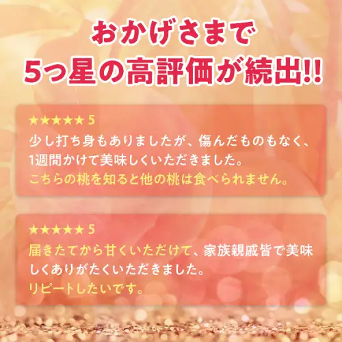 透過式光センサー川中島白桃 特秀5kg相当 15玉～18玉＜ ふくしま未来農業協同組合 ＞ | ふくしま 桃 福島 もも 国見 モモ ※2026年8月中旬頃より順次発送予定 ※沖縄・離島への配送不可