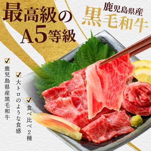 まるで大トロ とろけるくちどけ A5等級鹿児島県産黒毛和牛牛刺し2種盛り300g カミチク IB112-007 牛肉 牛肉 