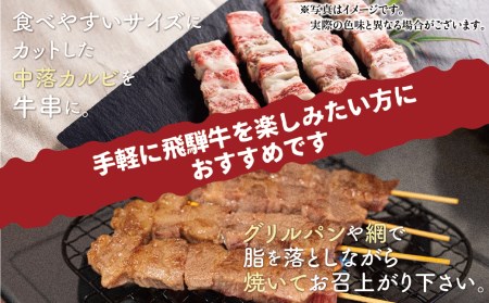 飛騨牛 中落カルビ牛串 8本 BBQ 飛騨牛 [Q1021x]