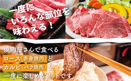 飛騨牛　霜降り・赤身 焼肉 各350ｇ（計700g） 牛肉 和牛 バラ モモカタ 食べ比べ 贈り物 ギフト 飛騨市[Q2523]