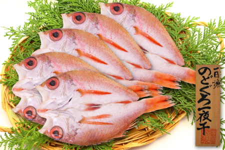 のどぐろ一夜干し（干物）5枚 旬獲れ【のどぐろ 干物 合計500g のどぐろ干物 無添加 天日塩 低塩熟成 低塩 ノドグロ アカムツ あかむつ 一夜干し 新鮮 冷凍 真空パック 贈答 母の日 父の日】