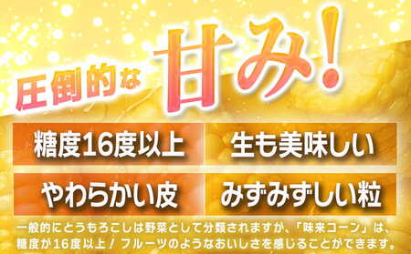 【先行受付】朝どれ!!都城産スイートコーン(味来コーン)5kg 15本以上_12-B401-6_(都城市) 朝どれ とうもろこし スイートコーン 5キロ 約15本以上 産地直送 みずみずしい あまい 