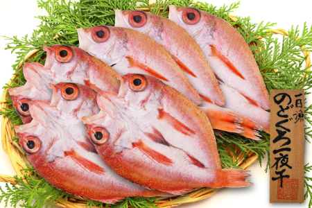 のどぐろ一夜干し 6枚 小ぶりだけど旨い干物【干物 のどぐろ 合計550g のどぐろ干物 無添加 天日塩 魚介類 高級魚 ノドグロ アカムツ 一夜干し 新鮮 冷凍 真空パック 贈答 父の日 母の日】