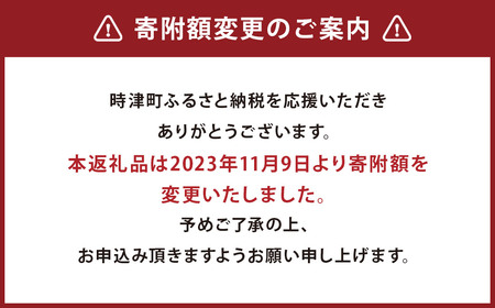 長崎県産 本マグロ「赤身」約500g