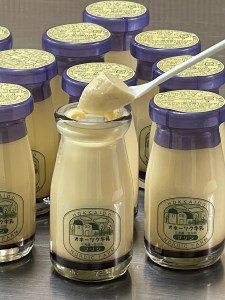 【10本】ノルディックファーム・オホーツク牛乳プリン (90ml×10本) ( ふるさと納税 牛乳プリン 濃厚 なめらか オホーツク牛乳 バニラビーンズ スイーツ 北海道 遠軽町 ノルディックファーム ) en01-00082