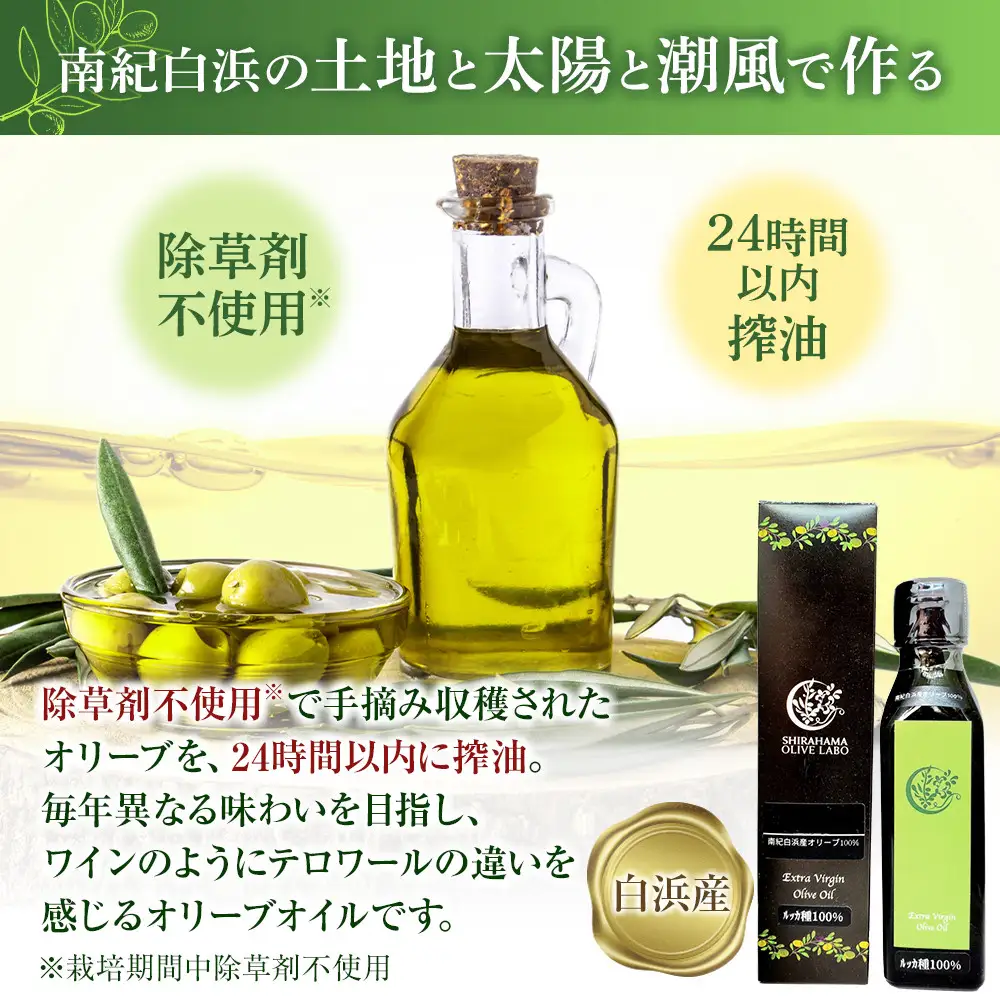 白浜産 100％ EXV オリーブオイル 1本（100ml）