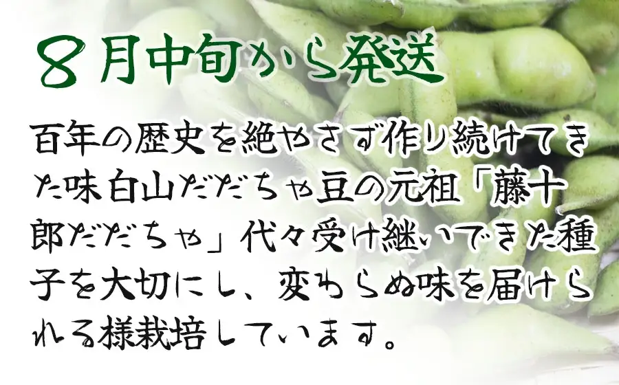 【令和8年産先行予約】”元祖”森屋藤十郎の白山産だだちゃ豆「白山(本豆)」　1kg（500g×2袋）鶴岡特産 K-831