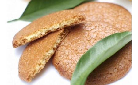 みかんサブレ 24枚入り　高級バターを贅沢に使ったサクサク食感のお菓子！ サブレ クッキー 詰め合わせ 菓子 お菓子 ギフト【fks100A】