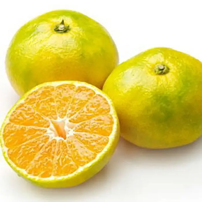 ［極早生みかんの逸品］和歌山県産ゆら早生みかん約5kg★2026年10月中旬頃より順次発送［TM120］