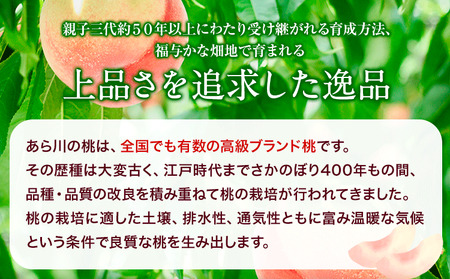 ブランド桃 あら川の桃 大玉3個入り