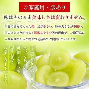 【ご家庭用】シャインマスカット 2kg入り 1箱 [後半]【令和8年産先行予約】FU21-632 くだもの 果物 フルーツ 山形 山形県 山形市 2026年産