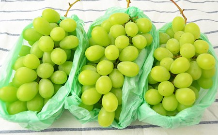 山形の大粒シャインマスカット 秀品 約5kg(5～8房)[9月中旬～10月中旬発送]【令和8年産先行予約】FS24-645 くだもの 果物 フルーツ 山形 山形県 山形市 2026年産