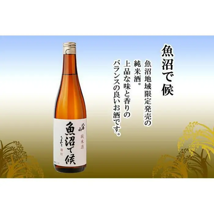 八海山 日本酒 魚沼 地域限定 2選 飲み比べ 各720ml 南魚沼市【八海山 純米大吟醸 魚沼で候 四合瓶 飲み比べ 日本酒 2本 セット 720ml 新潟 地酒 厳選 晩酌 熱燗 お酒 酒 さけ お中元 お歳暮 贈答】
