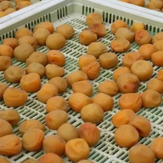 【贈答用】紀州南高梅 しそ風味梅干 400g 化粧箱入 【US21】