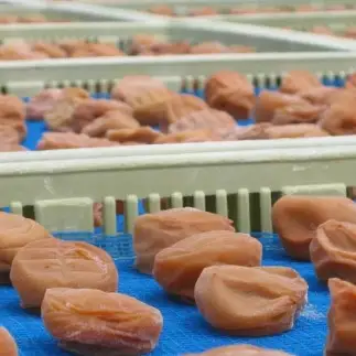 紀州南高梅 しそ風味梅干 500g ご家庭用 【US30】