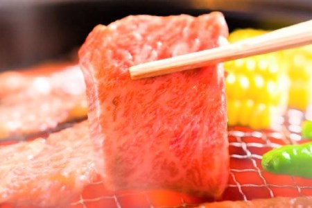 博多和牛 A4以上 焼肉セット 500g [MEAT PLUS 福岡県 筑紫野市 21760740]