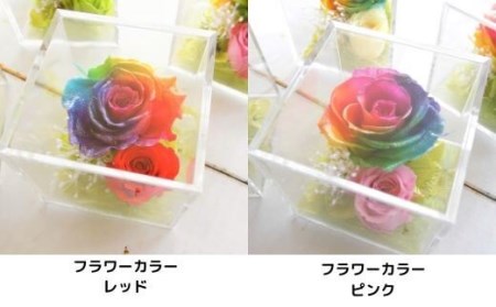 メッセージ刻印 プリザーブドフラワー レインボーローズ クリアボックス 5色 / なないろ / 山梨県 中央市
