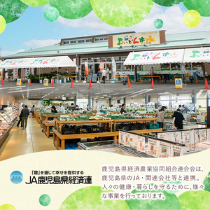 野菜と果物旬の詰め合わせ(12～14品目) 国産 九州産 鹿児島県産 野菜 やさい果物 くだもの フルーツ デザート 詰め合わせ お楽しみ セット 旬【鹿児島県経済農業協同組合連合会】_y358