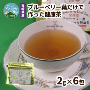 宮崎県産 ブルーベリー葉 だけで作った 健康茶 ポリフェノール N048-YZA095