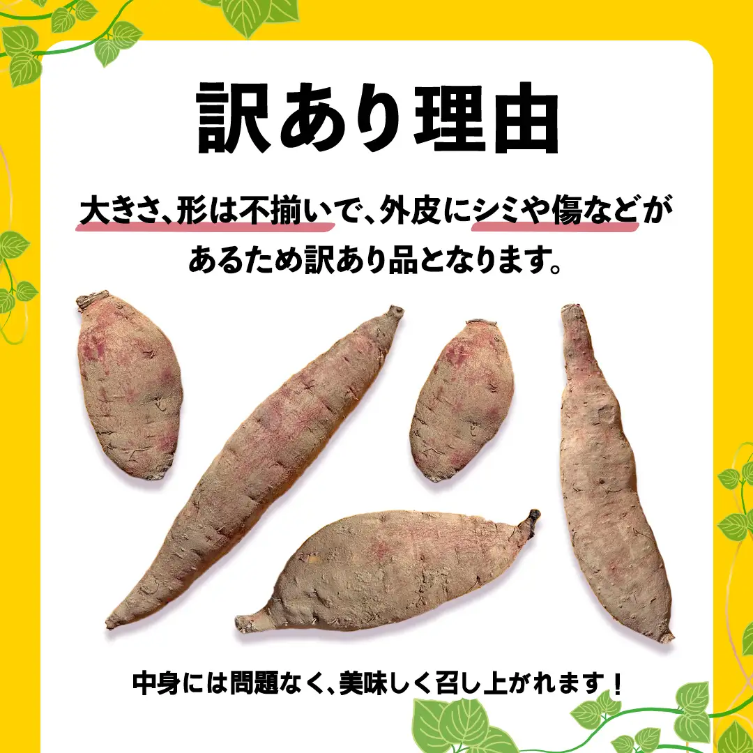さつまいも 紅はるか サツマイモ 約10kg 訳あり