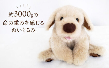 セラピー！？ ロボット？ 「 パトラン 」（ 重たい ぬいぐるみ ） 《糸島》【科学工房未來】 ぬいぐるみ セラピー 犬 プレゼント [AYI001]
