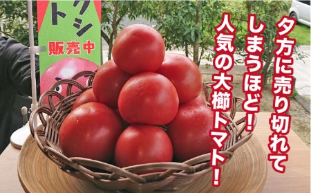 【甘くて濃厚】大玉 トマト 2kg 糸島産 《糸島》 【大櫛トマトファーム】 [AQH001]