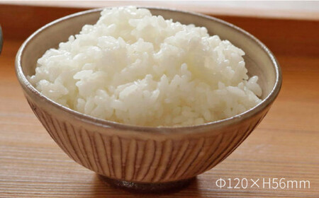 粉引 しのぎ 飯碗 《糸島》【高麗窯】 【いとしまごころ】[AOZ006]