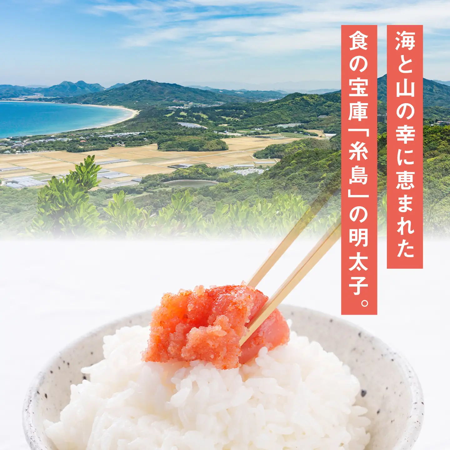 明太子 【訳あり】辛子明太子 切れ子 1kg  [AKA038]