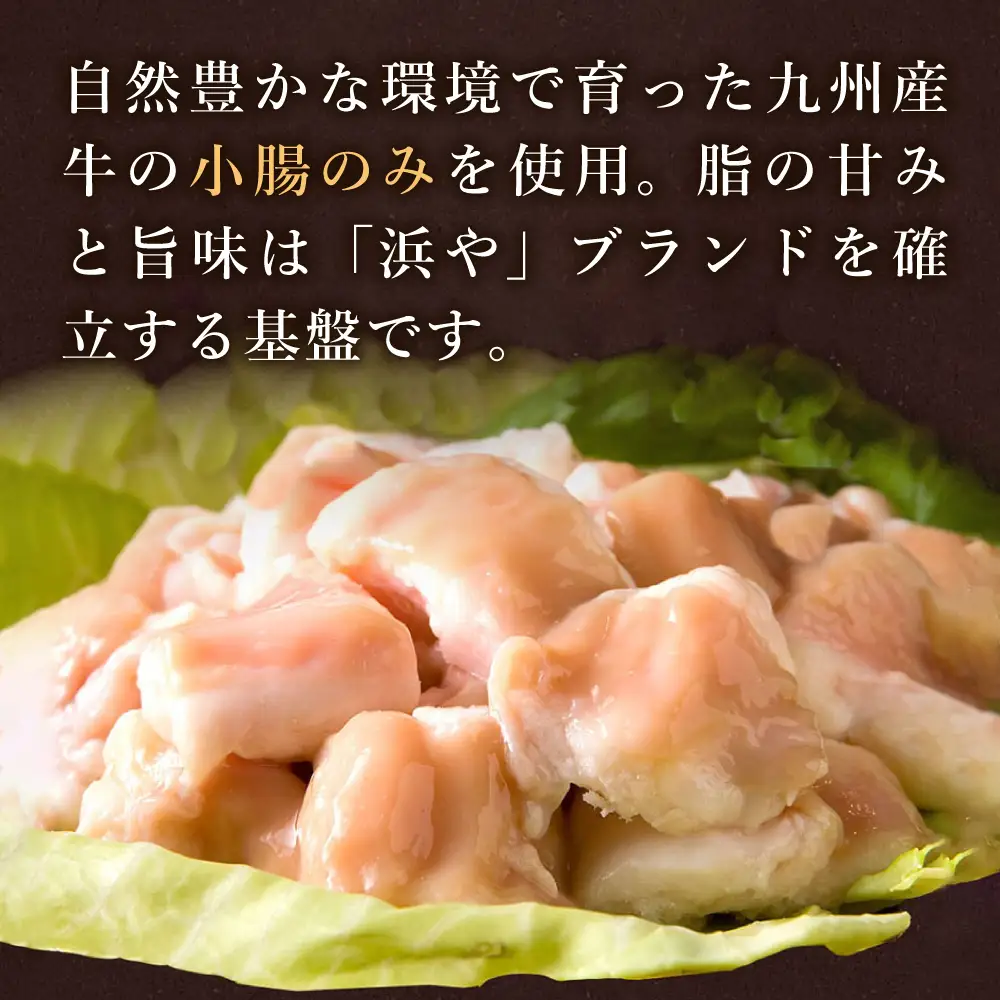 【お中元対象】国産 ・ 完全 無添加 もつ鍋 セット×2 ( 約 4人前 ) 白みそ味 糸島市 / 博多 浜や [AFF002]