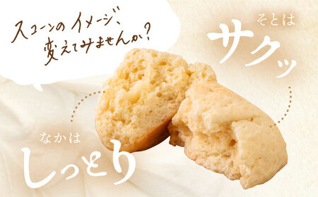 【お中元対象】【 贈答用 】 定番 スコーン 6種 12個 セット 《糸島》【キナフク】焼き菓子 焼菓子 洋菓子 スイーツ パン [AFA006]