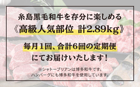 【全6回定期便】 糸島 黒毛和牛 食べ比べ セット 2人前 約2.8kg 糸島市/糸島ミートデリ工房 [ACA110] 定期便 肉 ランプ シャトーブリアン