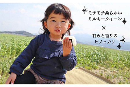  米 旋風 贅沢 ブレンド 5kg 《糸島》【百笑屋】 [ABF005]  米 お米 白米 精米 ひのひかり ヒノヒカリ ミルキークイーン ミルキークィーン
